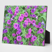 紫ペチュニアプラーク フォトプラーク (側面)