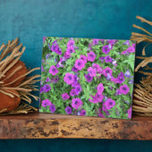 紫ペチュニアプラーク フォトプラーク (側面)