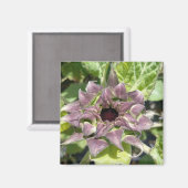 紫ユニークひまわり磁石 マグネット (正面/裏面)