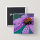 紫円錐花(水滴付き) 缶バッジ (正面&裏面)