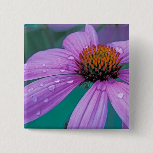紫円錐花(水滴付き) 缶バッジ (正面)