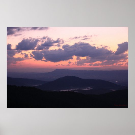 紫山王 ポスター (正面)