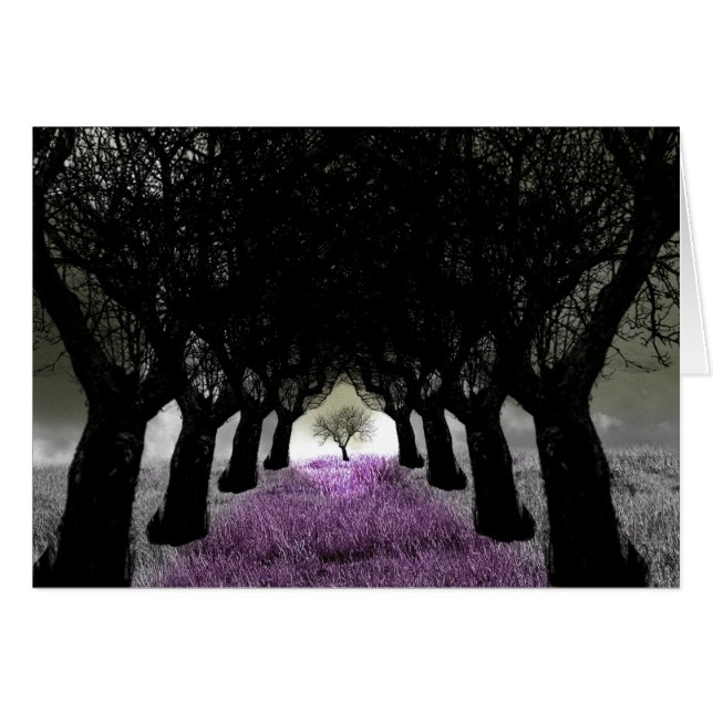 紫後を追の草道 (正面横)