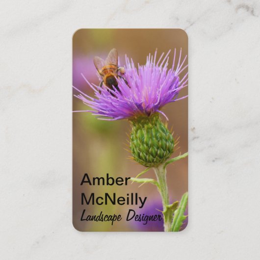 紫忙しのアザミ写真に蜂 名刺 (正面)