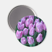 紫春 マグネット (正面/裏面)