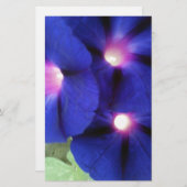 紫朝顔花文房具 便箋 (正面/裏面)