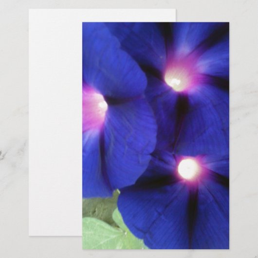 紫朝顔花文房具 便箋 (正面/裏面)