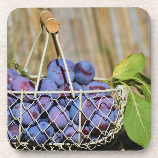 紫梅のバスケット コースター (正面)