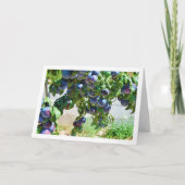 紫梅ぶら下がったの木 カード (正面)