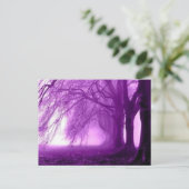 紫樹 ポストカード (スタンド正面)