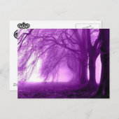 紫樹 ポストカード (正面/裏面)