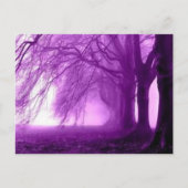 紫樹 ポストカード (正面)