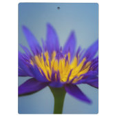 紫水百合花 クリップボード (裏面)