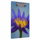 紫水百合花 クリップボード (右)