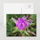 紫氷花 ポストカード (正面/裏面)