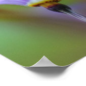 紫淡い色のの花が閉まる ポスター (角)