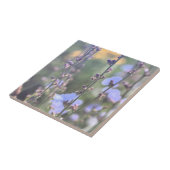 紫淡い色の色のチコリーの植物の花 タイル (側面)