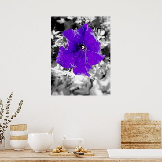 紫熱 ポスター (キッチン)