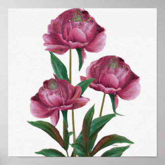 紫牡丹フラワーアートプリントポスター ポスター
