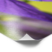 紫独身のオダマキ（植物）花 フォトプリント            (角)