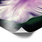 紫独身のチューリップフラワーペタルクローズアップ8x10 フォトプリント (角)