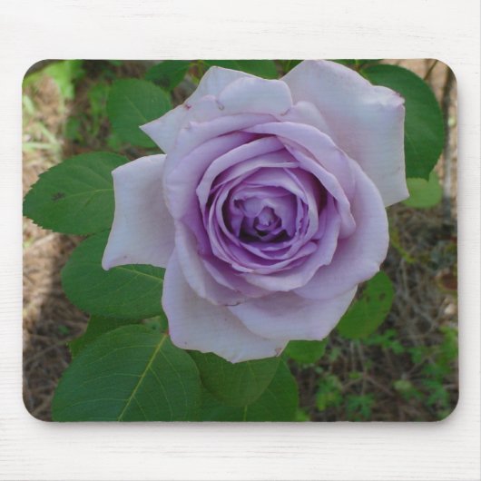 紫独身のバラマウスパッド マウスパッド (正面)