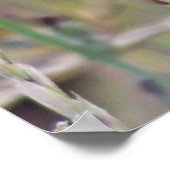 紫独身の野花 ポスター (角)