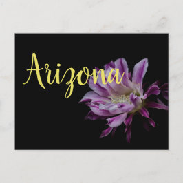 紫王室のと白のサボテン開花 ポストカード