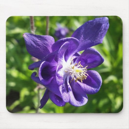 紫白熱［赤熱］光を放つ花 マウスパッド (正面)