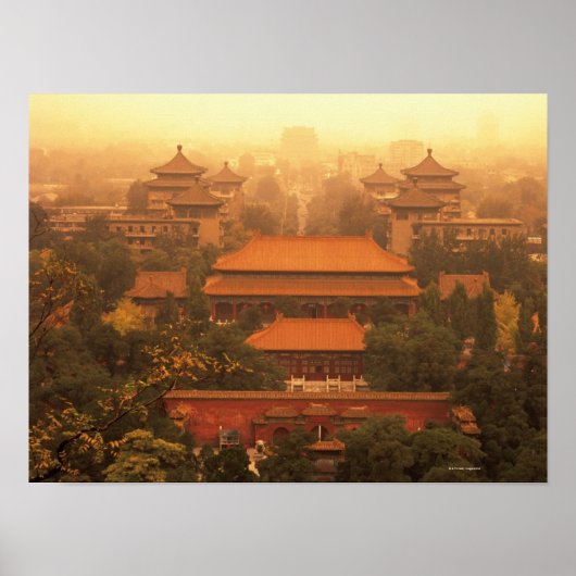 紫禁城 ポスター (正面)