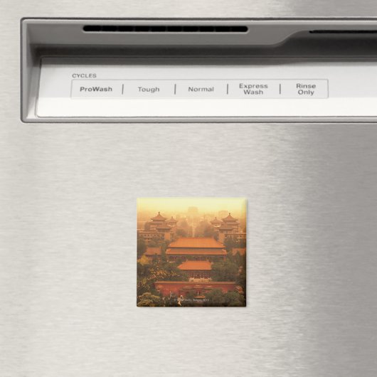 紫禁城 マグネット (インサイチュ (食洗機))