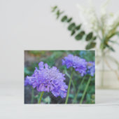 紫糸巻き花はがき ポストカード (スタンド正面)