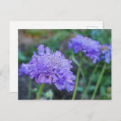 紫糸巻き花はがき ポストカード (正面/裏面)