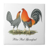 紫系統Gamefowl タイル (正面)