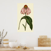 紫紅花 ポスター (キッチン)