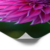 紫紅花 ポスター (角)