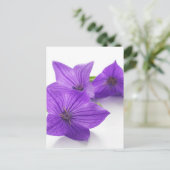 紫紅花 ポストカード (スタンド正面)