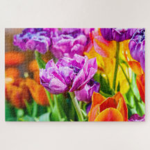 紫素晴らしのオウムのチューリップの花