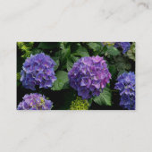 紫紫エレガント紫マゼンタピンク花模様アジサイ エンクロージャーカード (裏面)