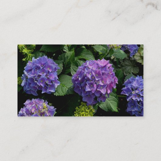 紫紫エレガント紫マゼンタピンク花模様アジサイ エンクロージャーカード (裏面)