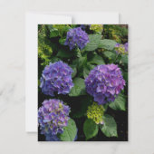 紫紫エレガント紫マゼンタピンク花模様アジサイ サンキューカード (裏面)