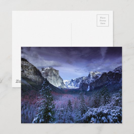 紫紫山王 ポストカード (正面/裏面)