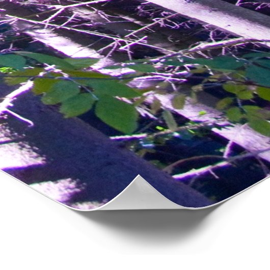 紫紫森のポスター ポスター (角)