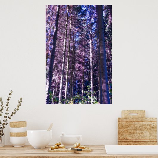 紫紫森のポスター ポスター (キッチン)