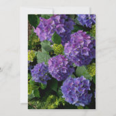 紫紫紫紫紫紫紫紫紫紫紫陽花ブライダルシャワー 招待状 (裏面)