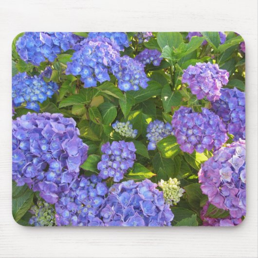 紫紫紫紫紫紫紫紫陽花 マウスパッド (正面)