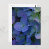紫紫紫紫紫陽花フローラ ポストカード (正面/裏面)