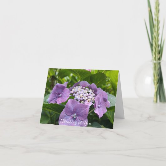 紫紫紫紫紫陽花考えるの カード (正面)