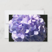 紫紫紫紫花フローラ セーブザデート (裏面)