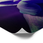 紫紫紫芽 ポスター (角)